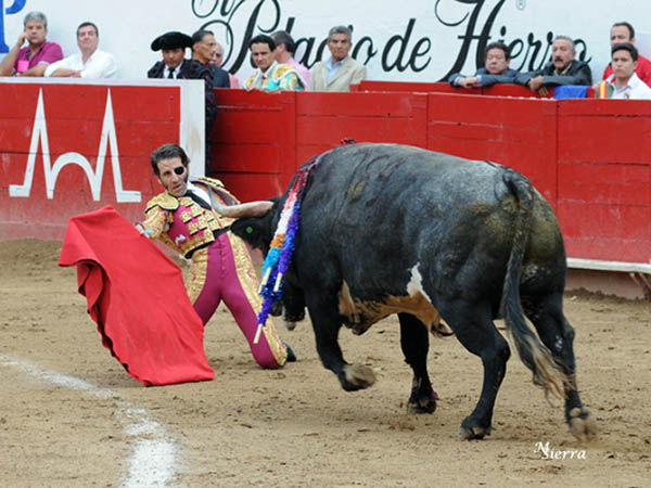 Respaldo a la actitud de entrega