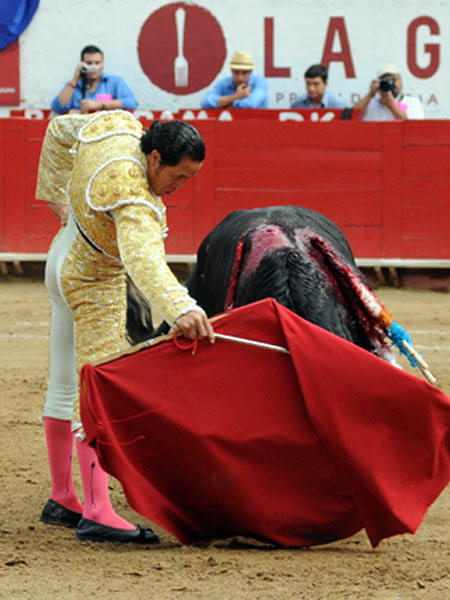 Empe�o no falt� en la labor