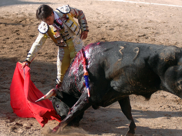 Metido en la canasta