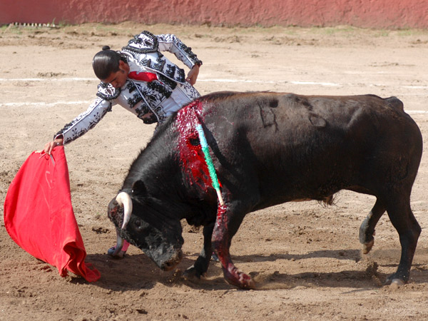 De extraordinaria factura