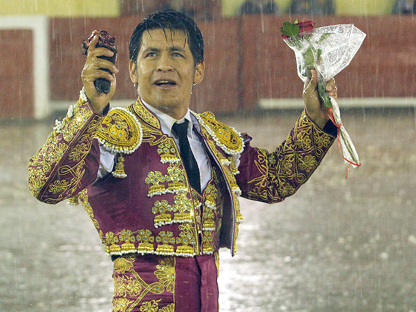 Oreja bajo el aguacero