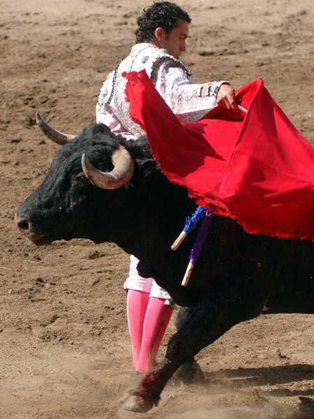 Manoletina colombiana