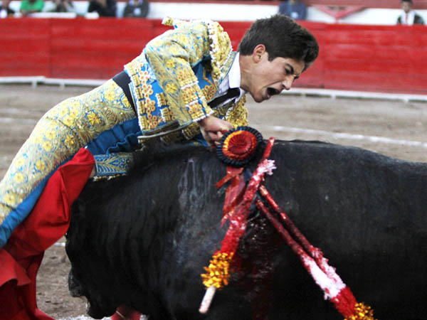 Estoconazo en todo lo alto