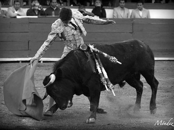 C�tedra de temple y buen gusto