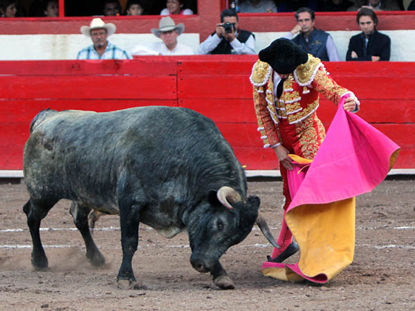 Ver�nicas con verdad