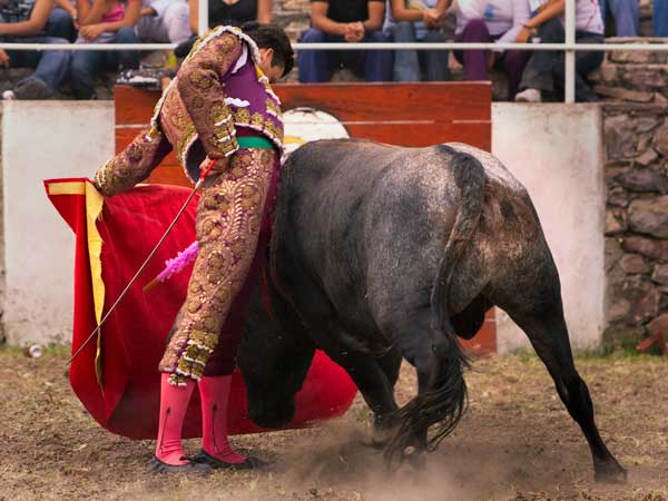 Embraguetado y con hondura