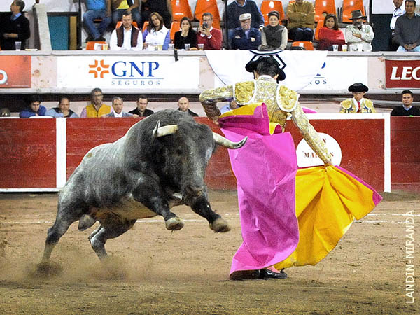 En la boca del riego