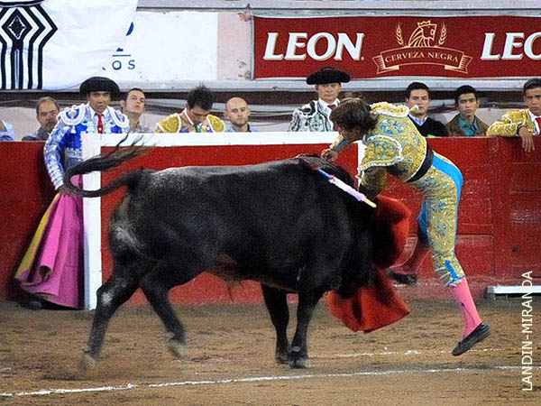 Parti� en dos al ejemplar