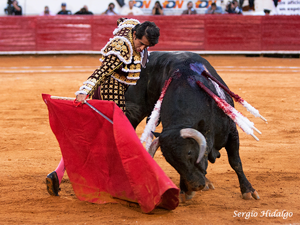 Mostrando todo su arte