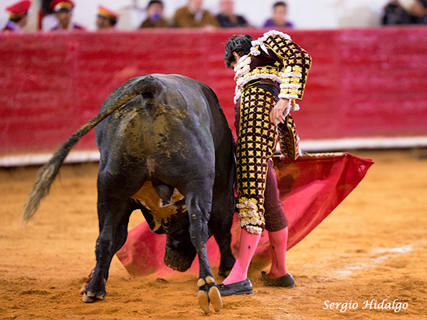 Pisando los terrenos del toro