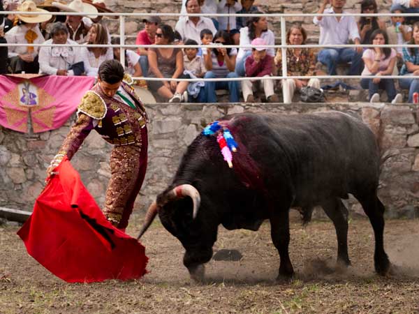 Vertical ante el ritmo del novillo