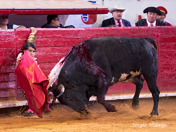 Sorprendente aguante