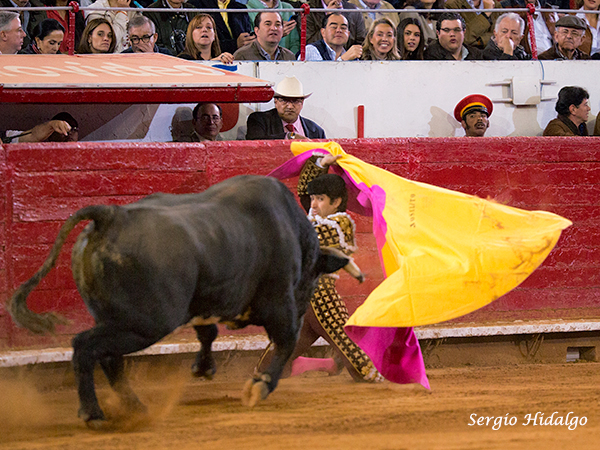 Joselito,decidido a triunfar