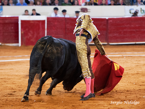 Bajando la muleta