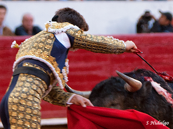 Fall� con la espada