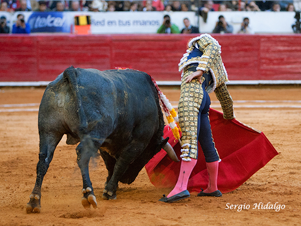 Templando la embestida