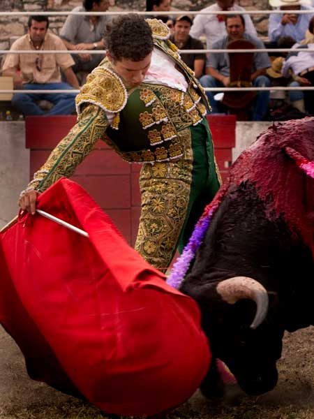 Reunido con el novillo