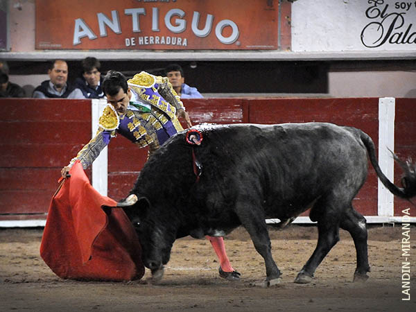 Expresivo por el derecho