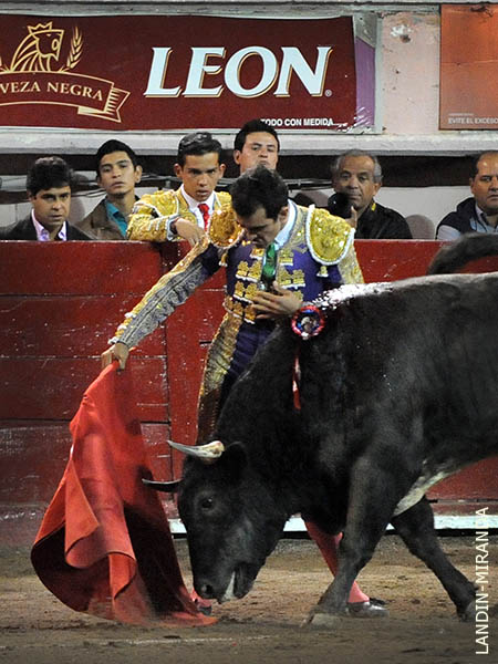 El coraz�n en la mano