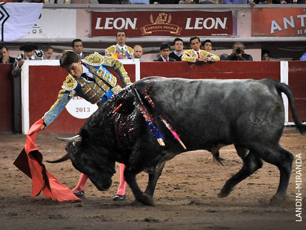 Llev�ndolo toreado