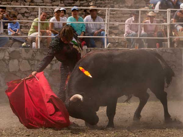 Sometiendo la embestida