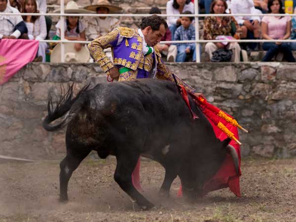 Recordando viejos tiempos