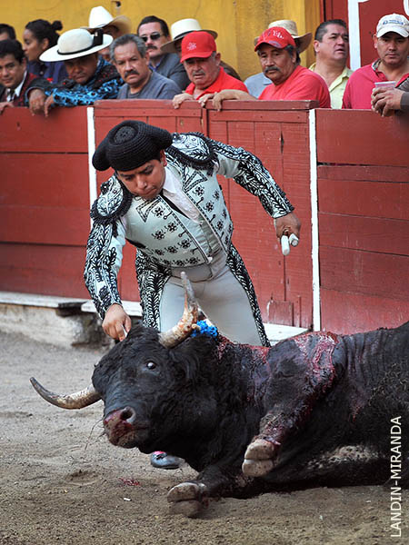 Cachetazo de Part�culas