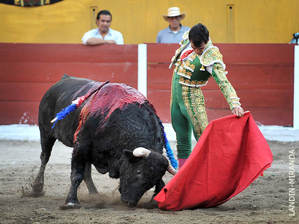 Determinaci�n y mando