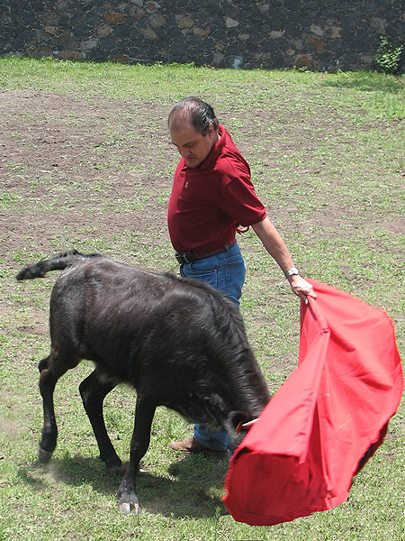 Lagunes, los muslos al astado
