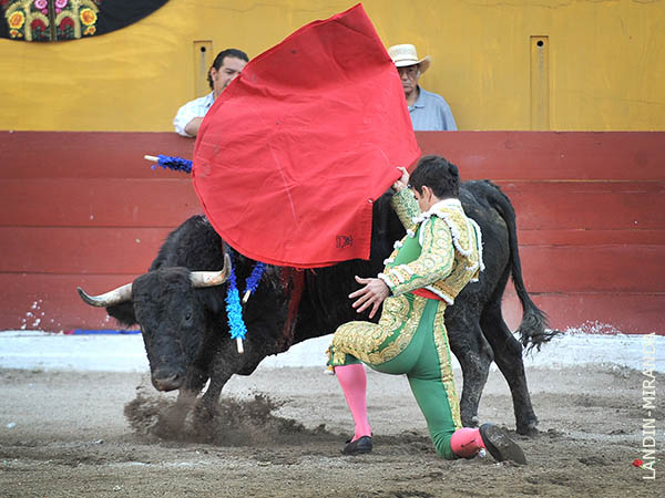 Faena que no ten�a el toro