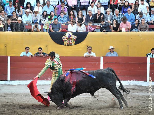 Inicio de muleta en los medios