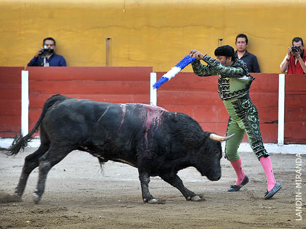 Ferm�n, adornando el morrillo