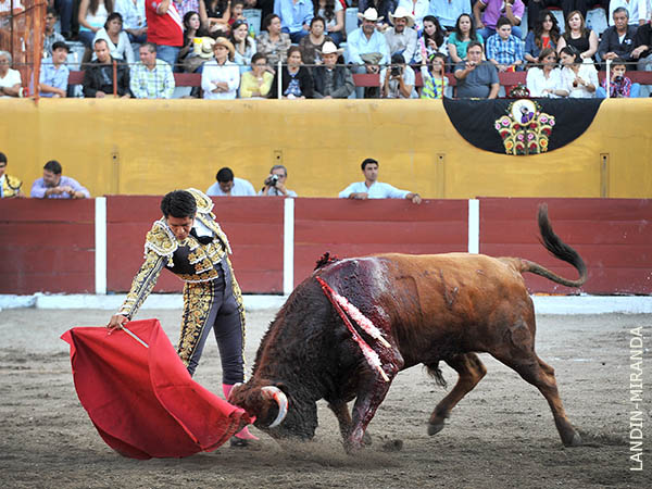 Los belfos en la arena