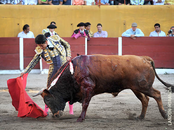 La nobleza del colorado