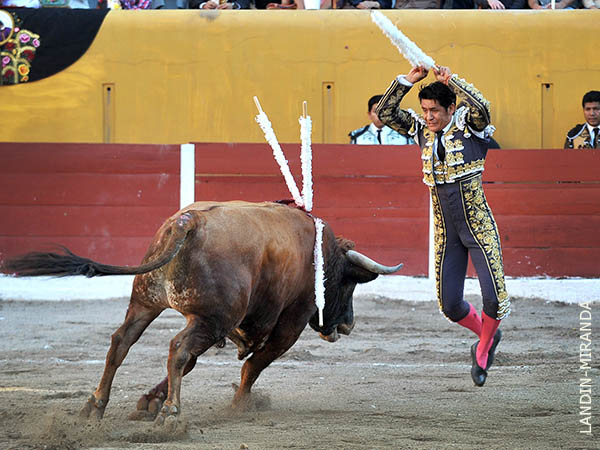 En la cara del ejemplar