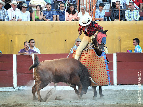 Metiendo la cabeza abajo