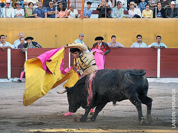 M�s voluntad que lucimiento