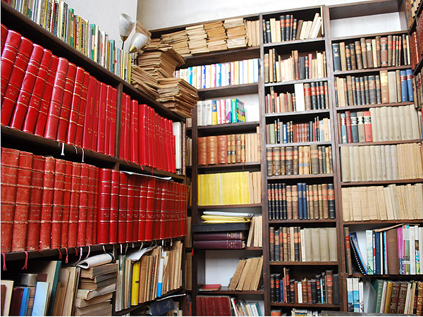 Bibli�filo, amante de los libros