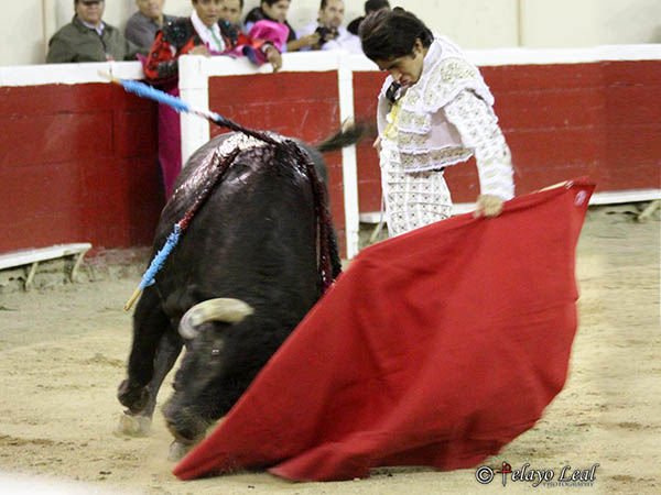 Tirando del ejemplar