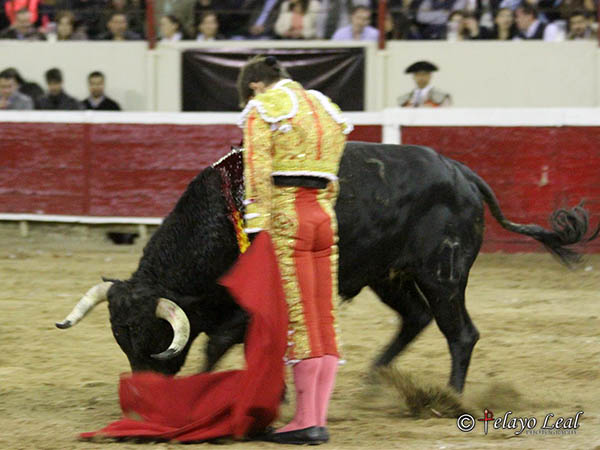 Dejando caer el enga�o