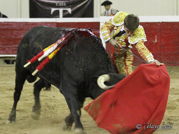 Mando en los ayudados