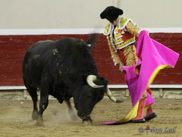 Juli con el segundo de su lote