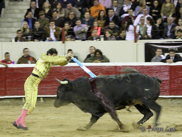 Alfredo en palitroques