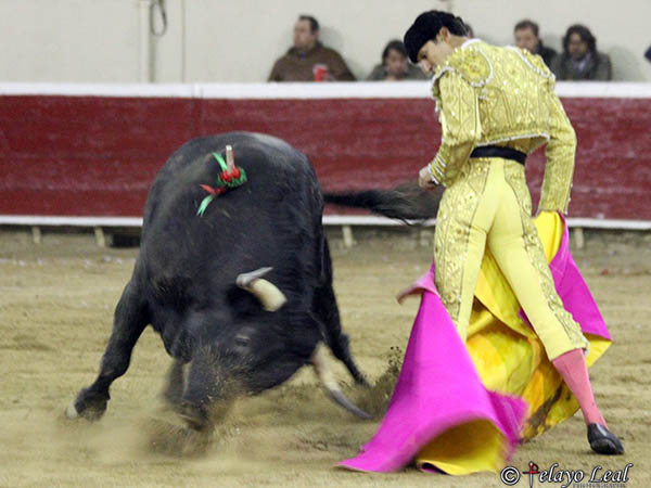 Soltando una punta del capote