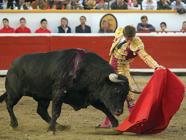 Madurez y maestr�a