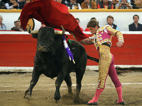 Pas�ndose todo el Toro