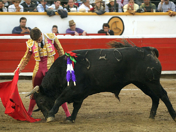 En maestro toda la tarde