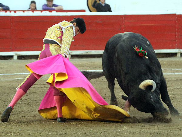 Plasticidad y oficio