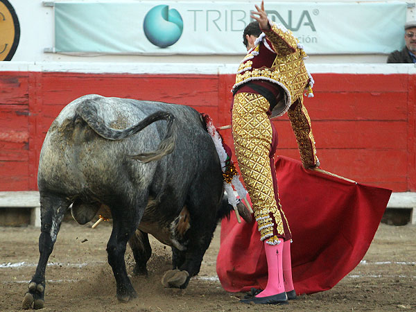 Disfrutando el toreo