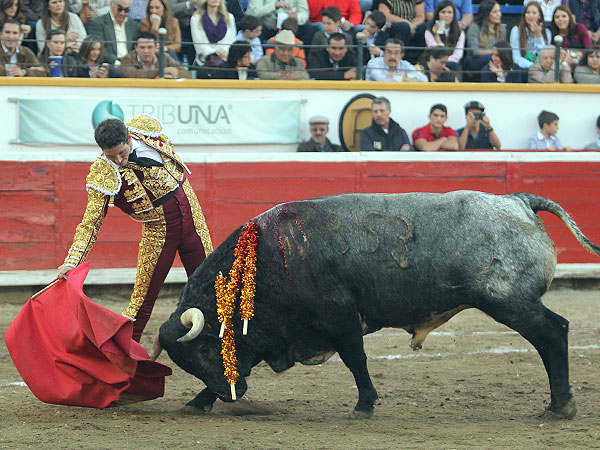 El Toro de la despedida